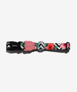 Alternative view of Collar Mahalo Zee Dog